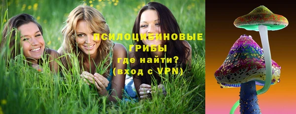 герыч Бородино
