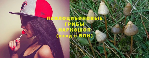 герыч Бородино